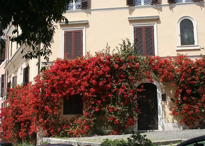 Stella'S In Monti